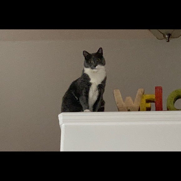 Meet your Posher, Jess - Picture 4 of 7